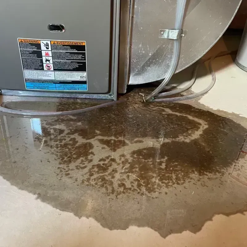 Appliance Leak Cleanup in Weldon Spring, MO